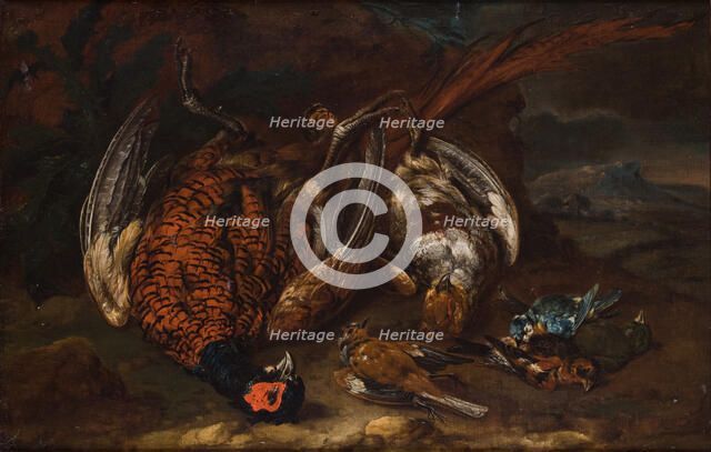 Slaughtered Birds, 1st half of 18th century. Creator: Philipp von Purgau.