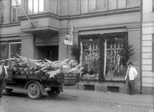 Slaughtered pigs on a lorry outside the butcher's shop. Landskrona, Sweden, 1933