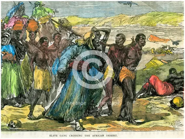 'Slave gang crossing the African desert', c1880. Artist: Unknown