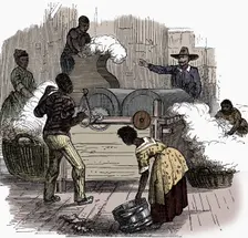 Slave labour on a cotton plantation in the southern states of America, 1860