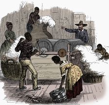 Slave labour on a cotton plantation in the southern states of America, 1860