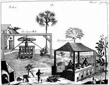 Slave labour on a sugar plantation in the West Indies, 1725. Creator: Unknown