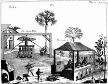 Slave labour on a sugar plantation in the West Indies, 1725. Creator: Unknown