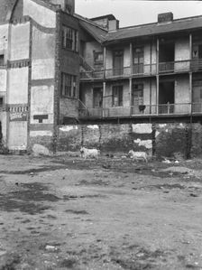 Slave quarters, New Orleans, between 1920 and 1926. Creator: Arnold Genthe