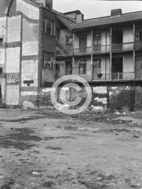 Slave quarters, New Orleans, between 1920 and 1926. Creator: Arnold Genthe.