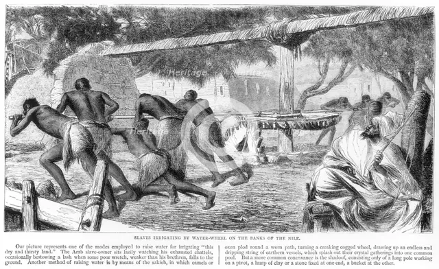 'Slaves Irrigating by Water-Wheel on the Banks of the Nile', 19th century. Creator: Unknown.