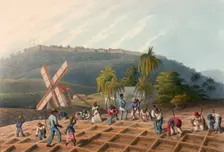 Slaves planting sugar cane on a plantation, Antigua, 1823. Creator: William Clark