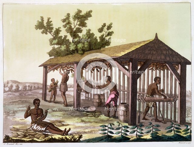 Slaves preparing tobacco, Virginia, USA. c1790 (c1820-1839). Creator: Angelo Biasioli.