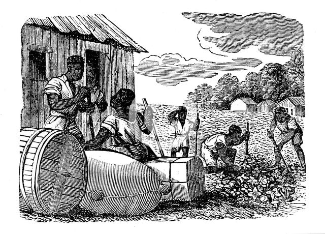 Slaves working on a tobacco plantation, 1833. Creator: Anon.