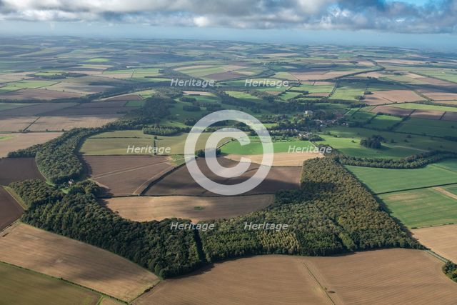 Sledmere House landscape park, East Riding of Yorkshire, 2023. Creator: Robyn Andrews.