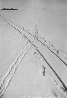 Sledge Track Crossing An Adélie Penguin's Track 8 December 1911, (1913). Artist: Herbert Ponting