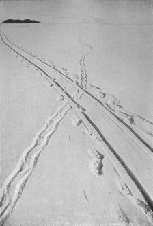 Sledge Track Crossing An Adélie Penguin's Track 8 December 1911, (1913). Artist: Herbert Ponting