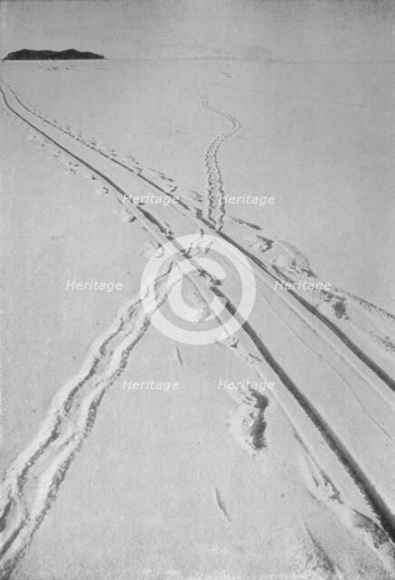 'Sledge Track Crossing An Adélie Penguin's Track', 8 December 1911, (1913). Artist: Herbert Ponting.