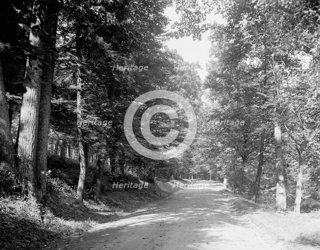 Sleepy Hollow road, Tarrytown, N.Y., c.between 1910 and 1920. Creator: Unknown.