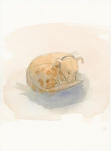 Sleeping dog, 2003. Creator: Judith Dobie