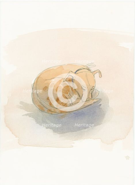 Sleeping dog, 2003. Creator: Judith Dobie.