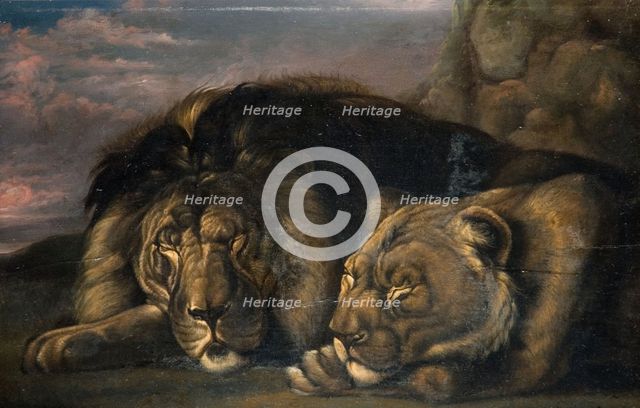 Sleeping Lion and Lioness 1823-1830. Creator: Samuel Raven.