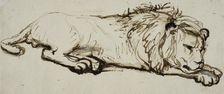 Sleeping lion. Creator: Rembrandt Harmensz van Rijn