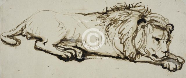 Sleeping lion. Creator: Rembrandt Harmensz van Rijn.