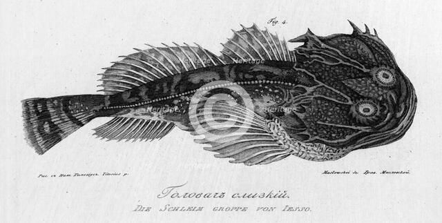 Slimy "Golovach", 1813. Creator: Pavel Ivanovich Maslovskii.