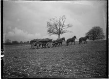 Slindon, Arun, West Sussex, 1908. Creator: Katherine Jean Macfee