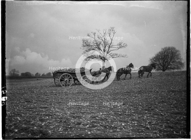 Slindon, Arun, West Sussex, 1908. Creator: Katherine Jean Macfee.