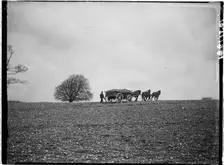 Slindon, Arun, West Sussex, 1908. Creator: Katherine Jean Macfee