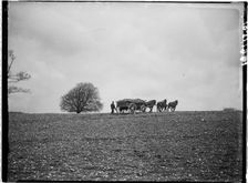 Slindon, Arun, West Sussex, 1908. Creator: Katherine Jean Macfee