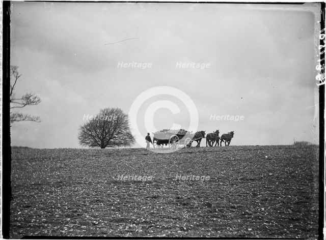 Slindon, Arun, West Sussex, 1908. Creator: Katherine Jean Macfee.