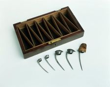 Spurs for cockfighting, 18th century. Creator: Unknown