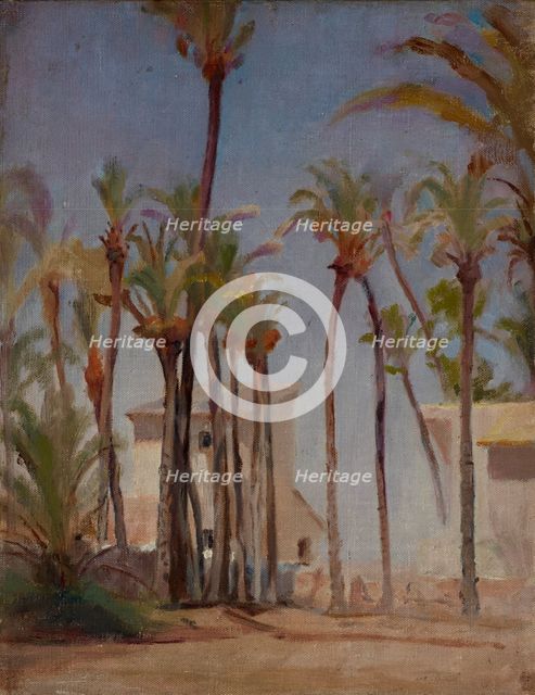 Spain (Elche), 1899. Creator: Jan Ciaglinski.