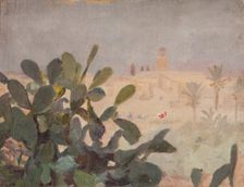 Spain (Elche), 1899. Creator: Jan Ciaglinski