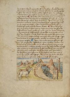 Spain; Livre des merveilles du monde (Book of the Marvels of the World), about 1460-1465. Creator: Master of the Geneva Boccaccio