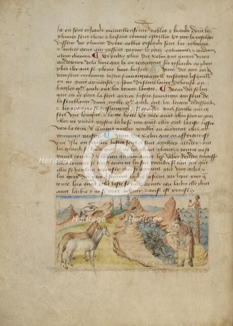 Spain; Livre des merveilles du monde (Book of the Marvels of the World), about 1460-1465. Creator: Master of the Geneva Boccaccio.