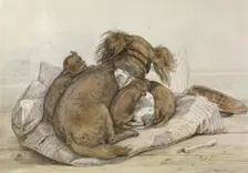 Spaniel With Puppies, 1840. Creator: Ernst Hasse