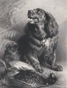Spaniel and Pheasant, June 15, 1871. Creator: Charles George Lewis