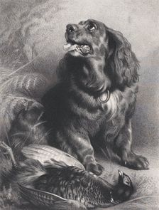 Spaniel and Pheasant, June 15, 1871. Creator: Charles George Lewis