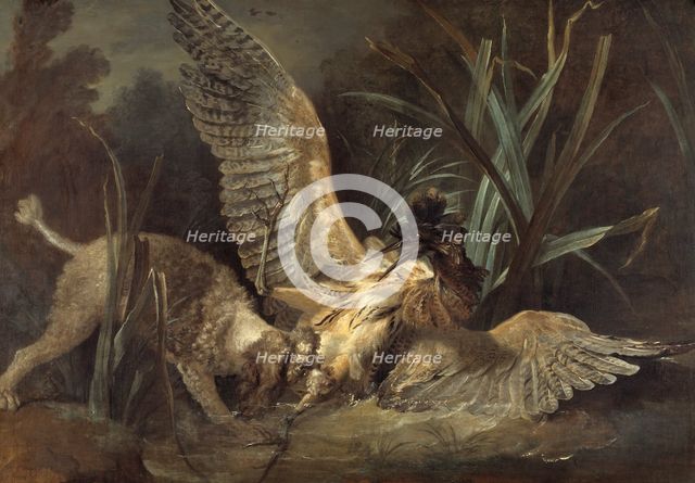 Spaniel Seizing a Bittern, 1725. Creator: Jean-Baptiste Oudry.