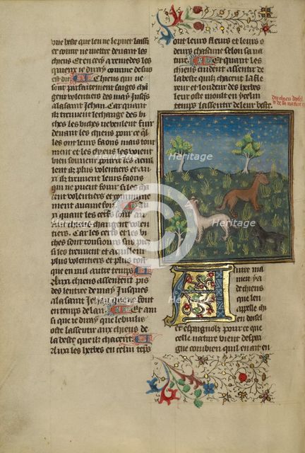 Spaniels; Livre de la Chasse, about 1430-1440. Creator: Unknown.