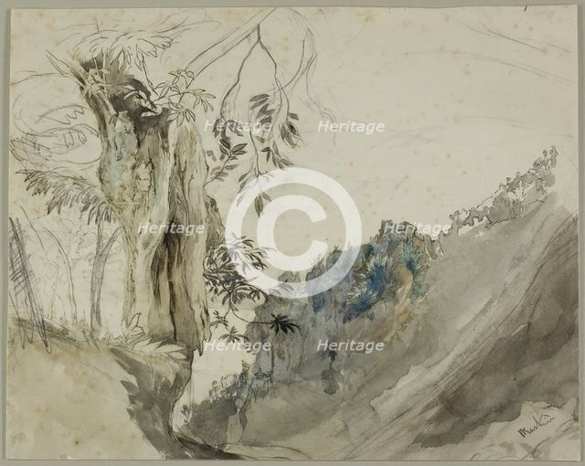 Spanish Chestnut, n.d. Creator: John Ruskin.
