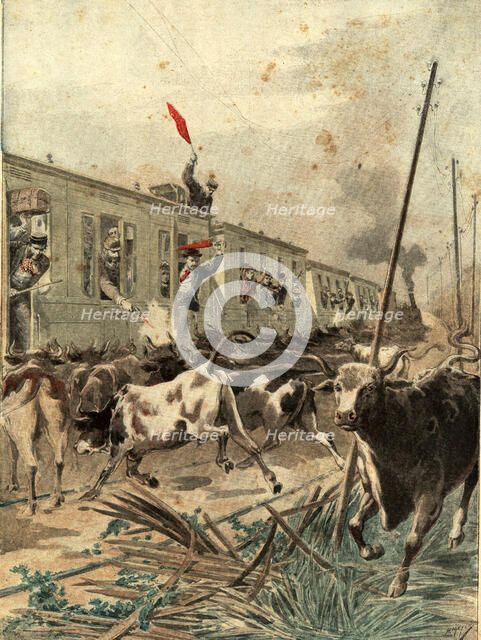 Spanish passenger train was, attacked by a herd of bulls in the province of Salamanca, engraving …