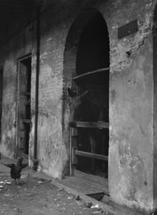 Spanish Stables, New Orleans, between 1920 and 1926. Creator: Arnold Genthe