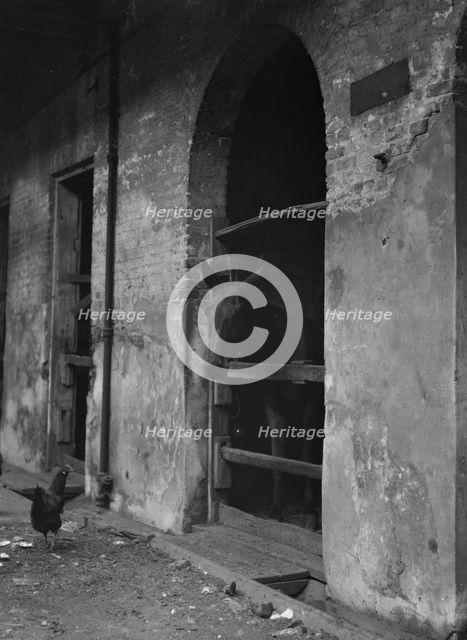 Spanish Stables, New Orleans, between 1920 and 1926. Creator: Arnold Genthe.