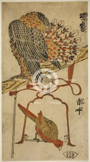 Sparrowhawk and Macaw (Konori taka, inko), c. 1718. Creator: Torii Kiyomasu I.