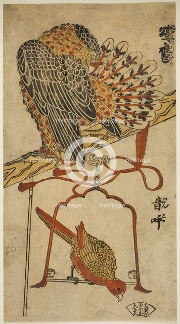 Sparrowhawk and Macaw (Konori taka, inko), c. 1718. Creator: Torii Kiyomasu I.
