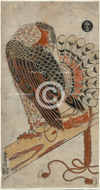 Sparrowhawk (Konori taka), c. 1716. Creator: Torii Kiyomasu I.
