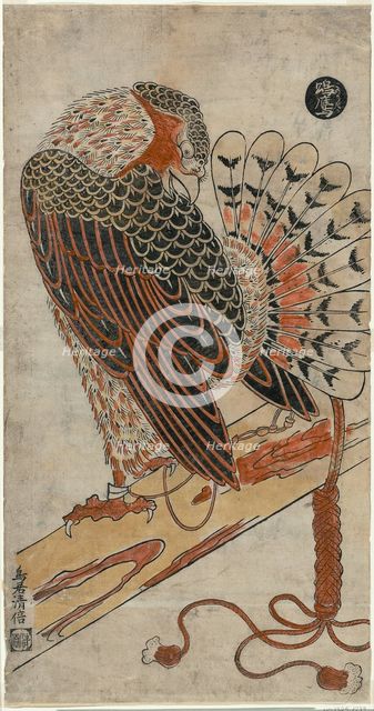 Sparrowhawk (Konori taka), c. 1716. Creator: Torii Kiyomasu I.