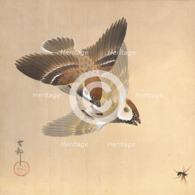 Sparrows Chasing Flying Insects, about 1925. Creator: Ohara Koson.