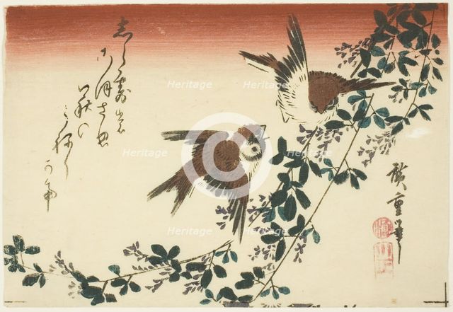 Sparrows and bush clover, 1830s. Creator: Ando Hiroshige.