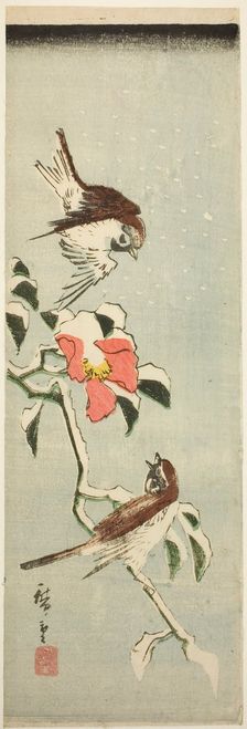 Sparrows and camellia in snow, 1840s. Creator: Ando Hiroshige